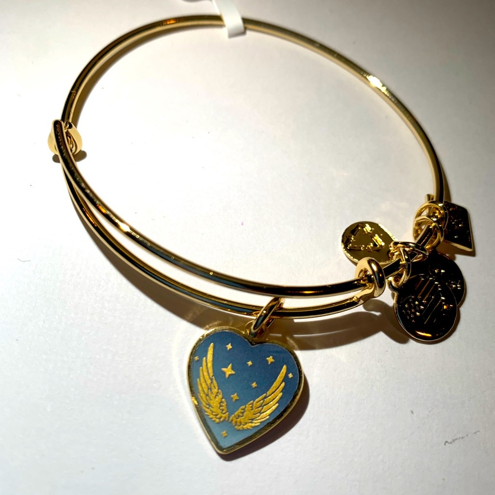 Alex Ani Guardian of the Heart bracelet